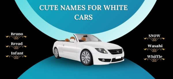 150-unique-and-cool-white-car-names-oicun