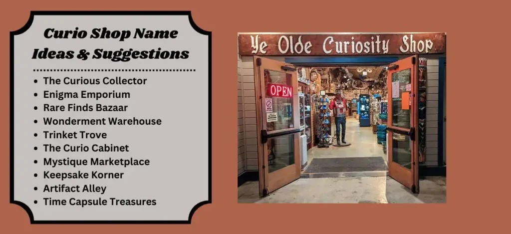 Curio Shop Name Ideas & Suggestions